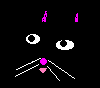 meow !